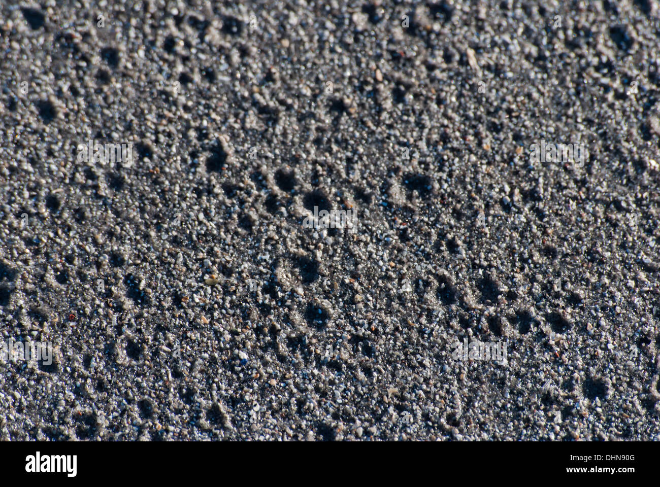 Grains of Sand Stock Photo - Alamy