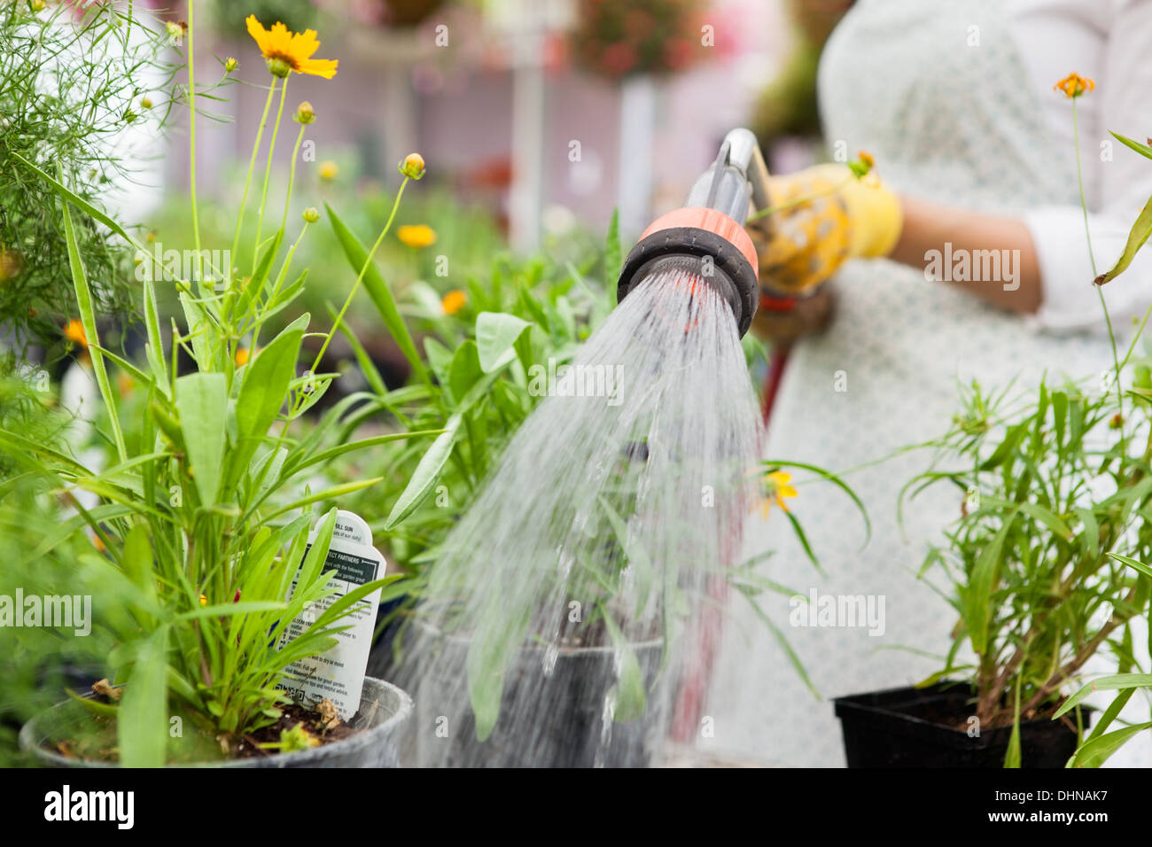 Watering hose pots hi-res stock photography and images - Alamy