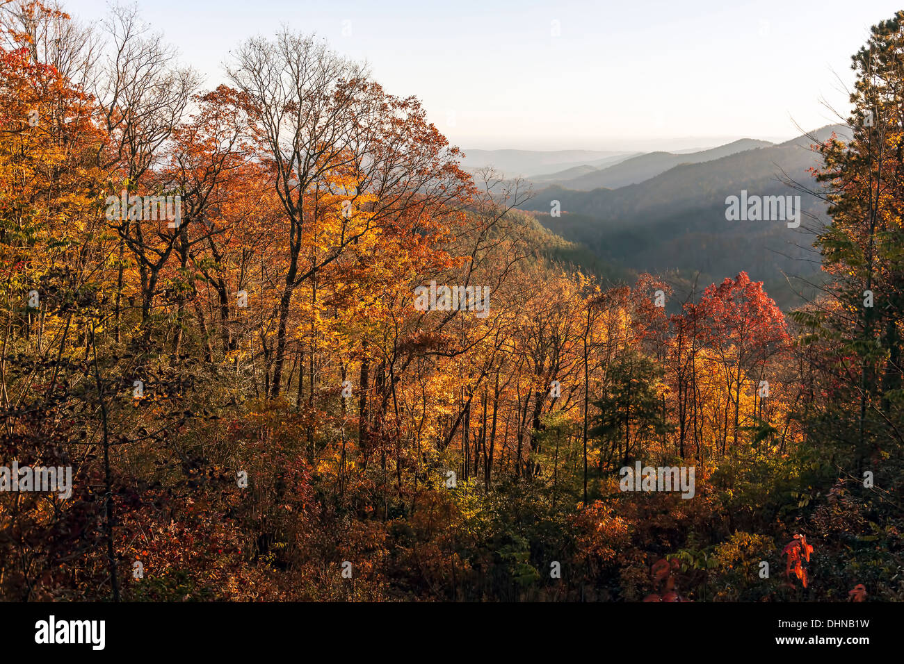 Autumn colors leaf change vista from State Park near Cashiers