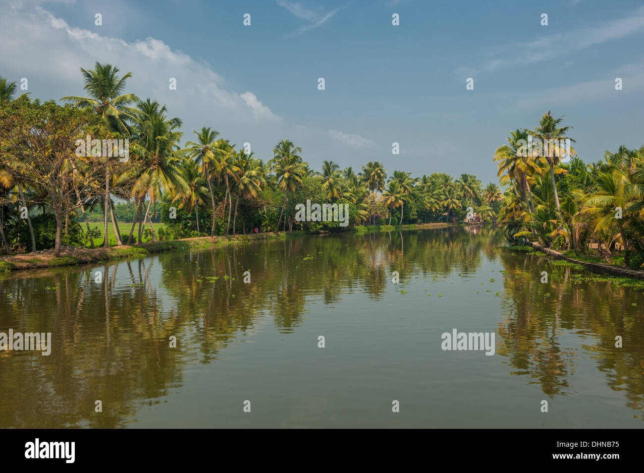 Backwaters of Kerala, India Stock Photo