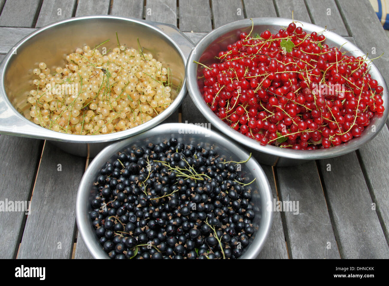 Currant-berries Stock Photo