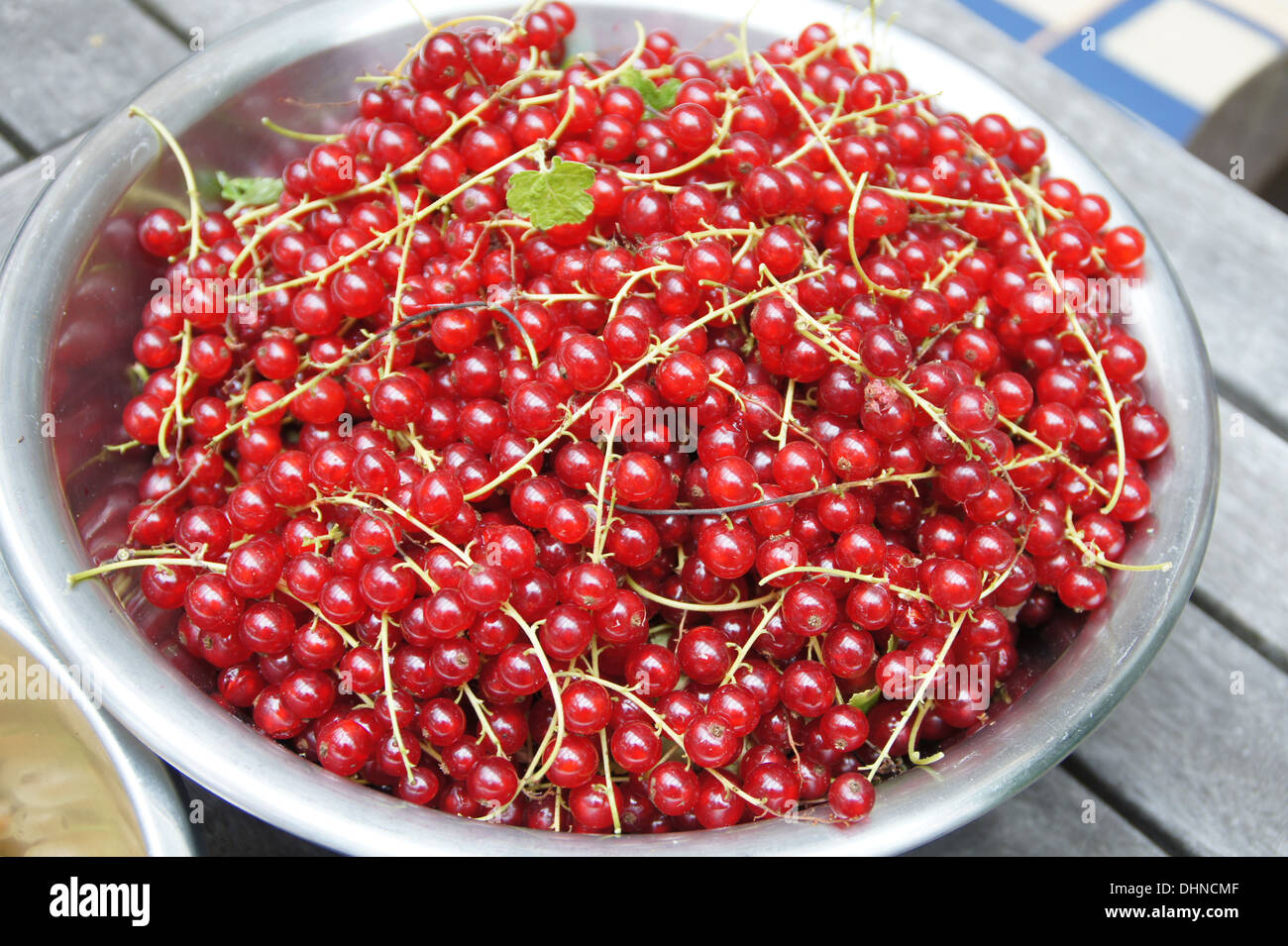 Red currants Stock Photo