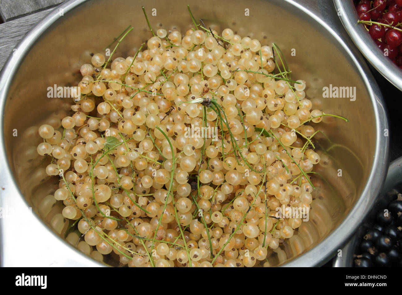Yellow currants Stock Photo