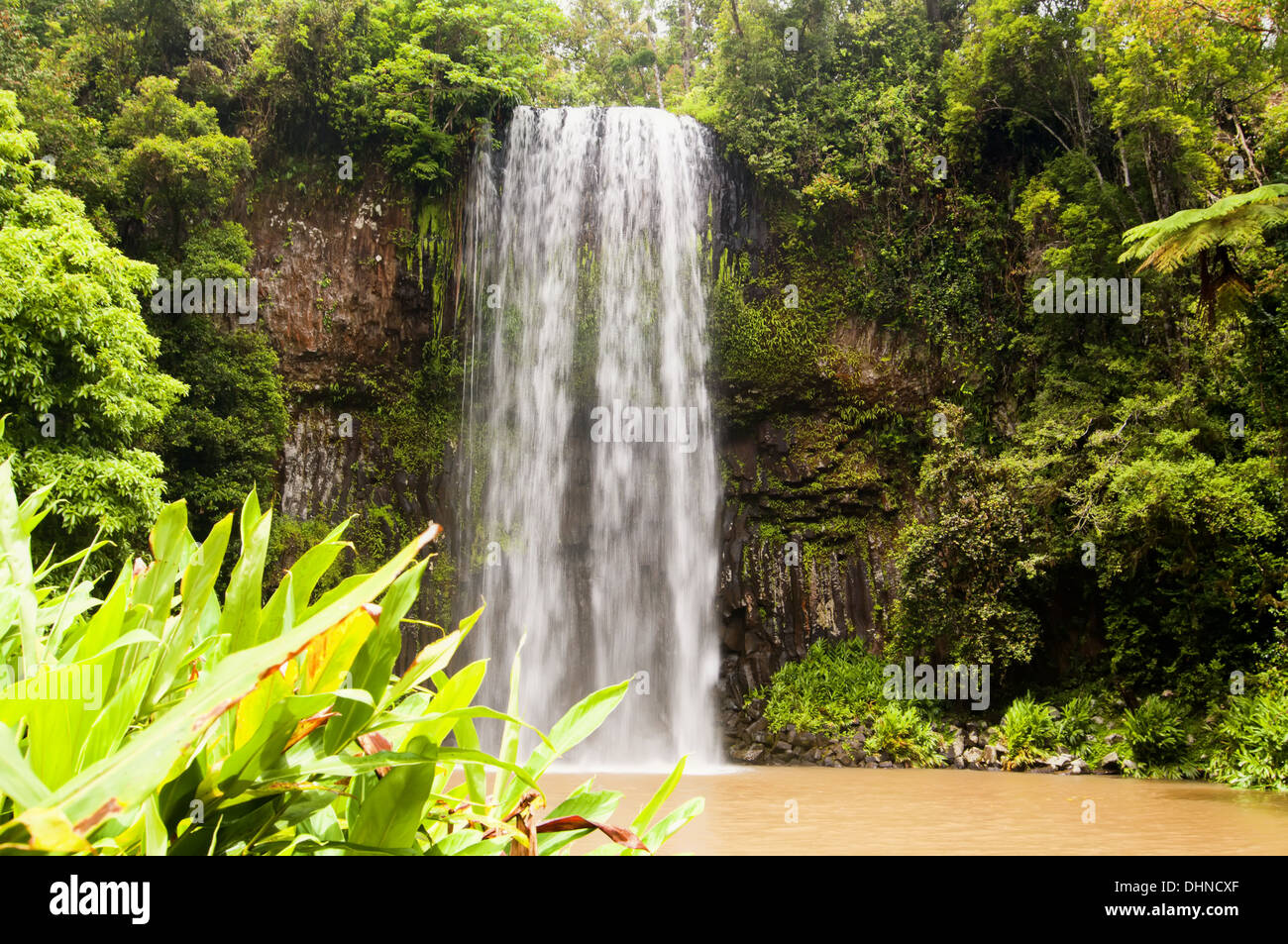 Millaa Millaa Falls in Queensland Stock Photo