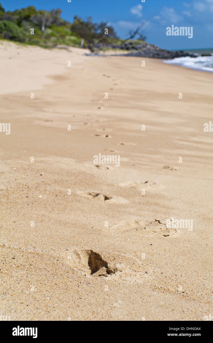 Footprints at the Beach Stock Photo