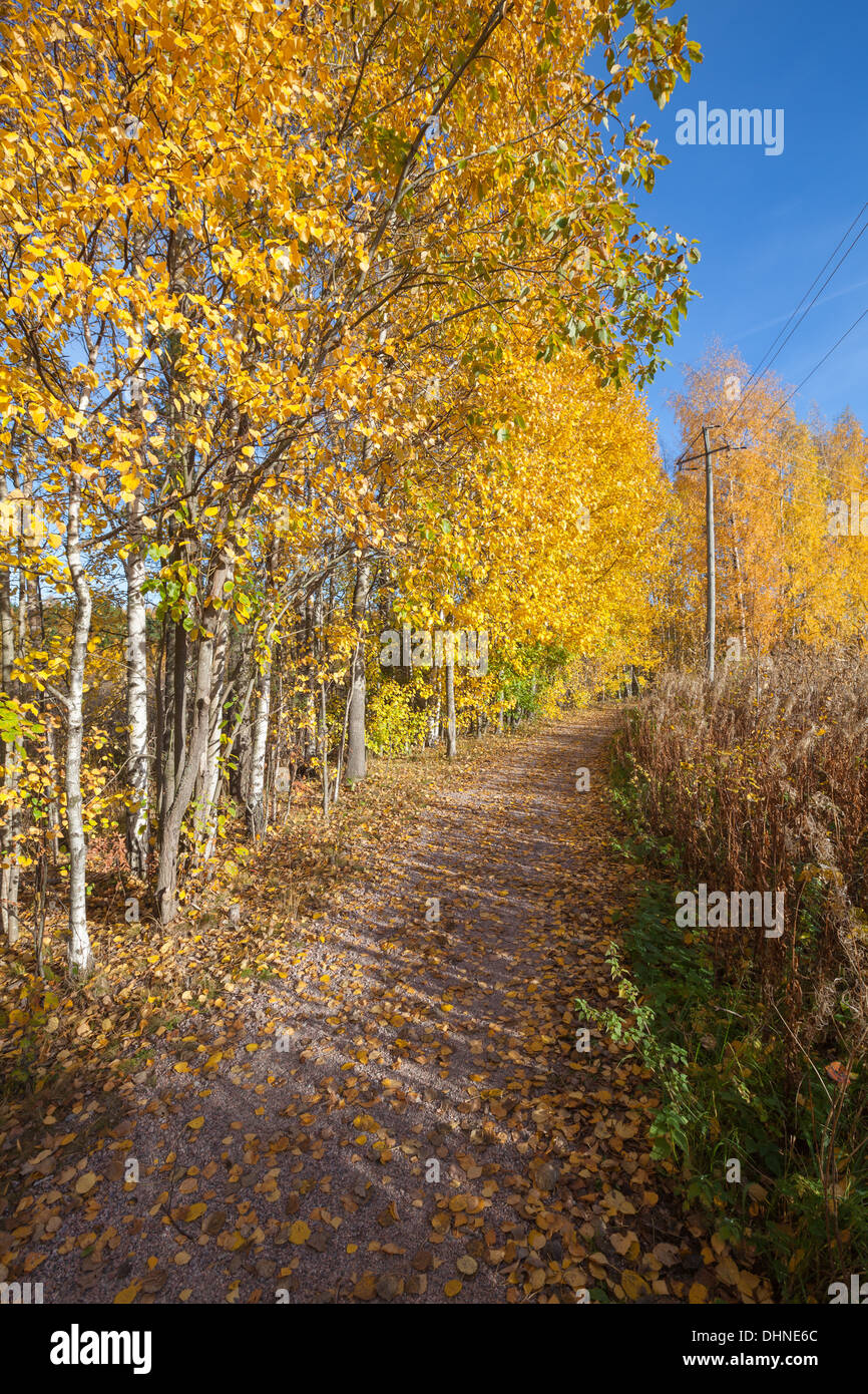 Sunny autumn day Stock Photo