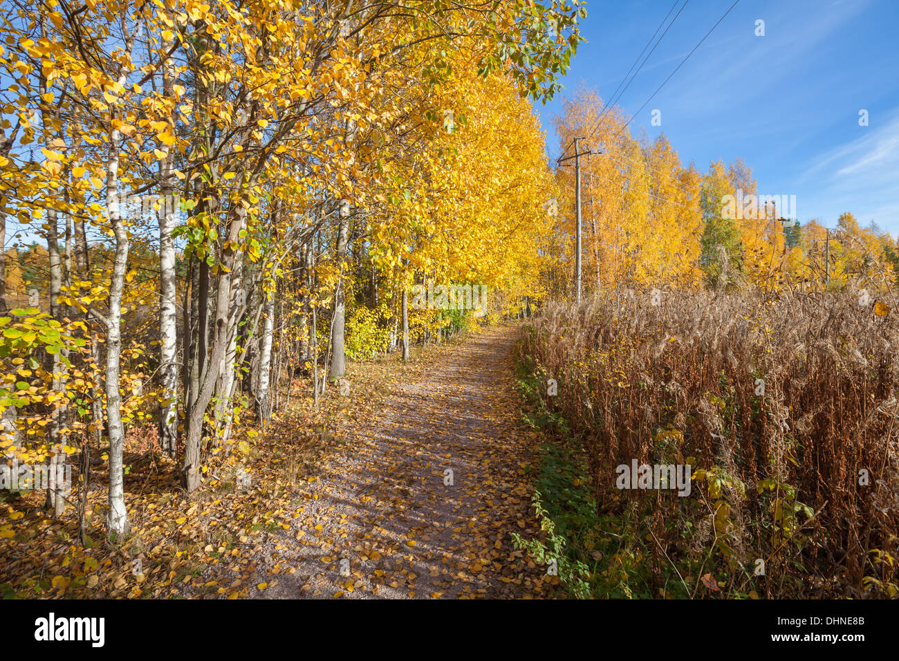 Sunny autumn day Stock Photo