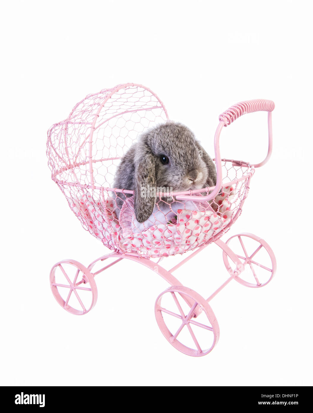 Stoller Cut Out Stock Images & Pictures - Alamy