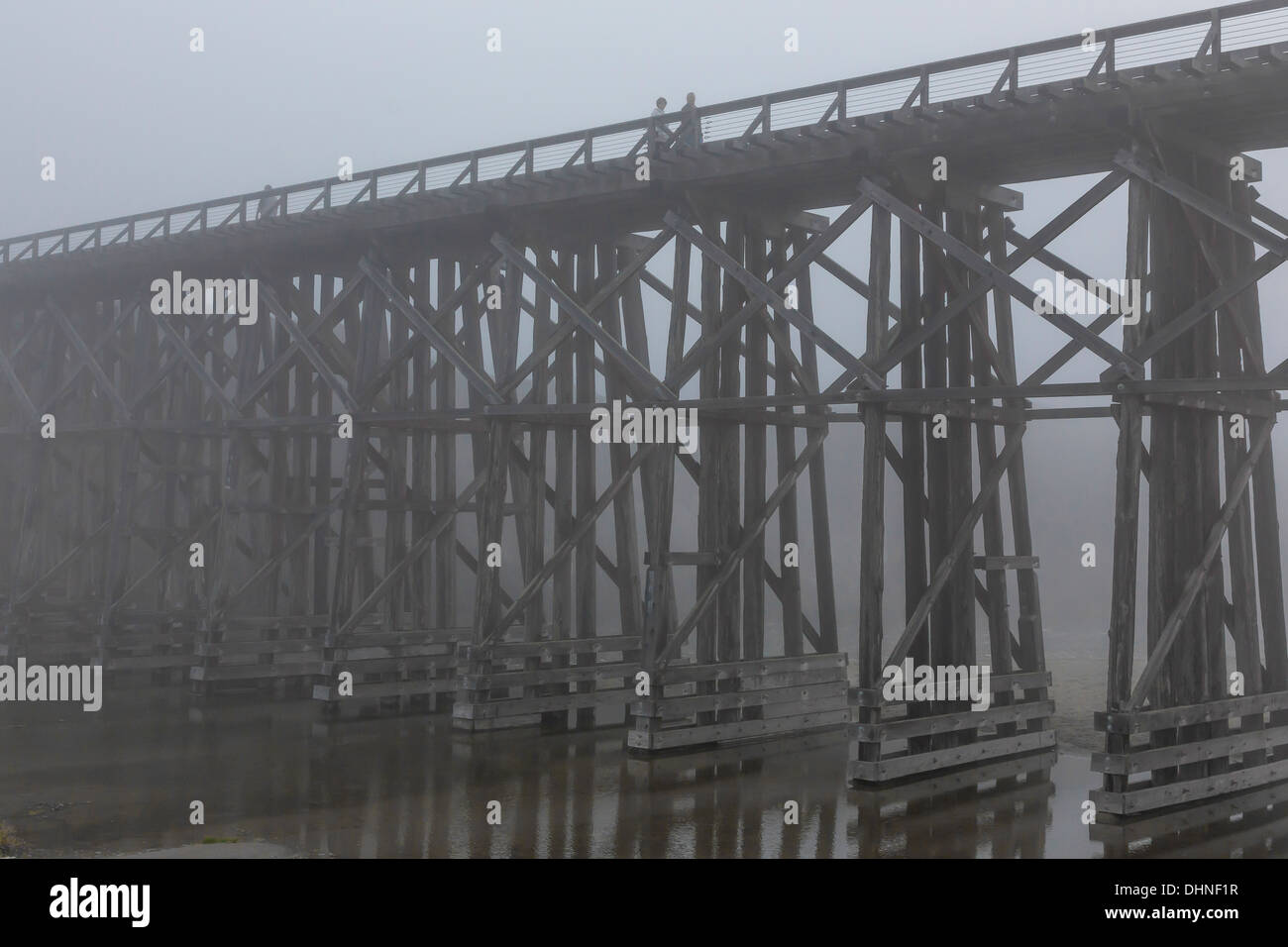 The Pudding Creek Trestle, part of the Ten Mile Beach Trail near Fort