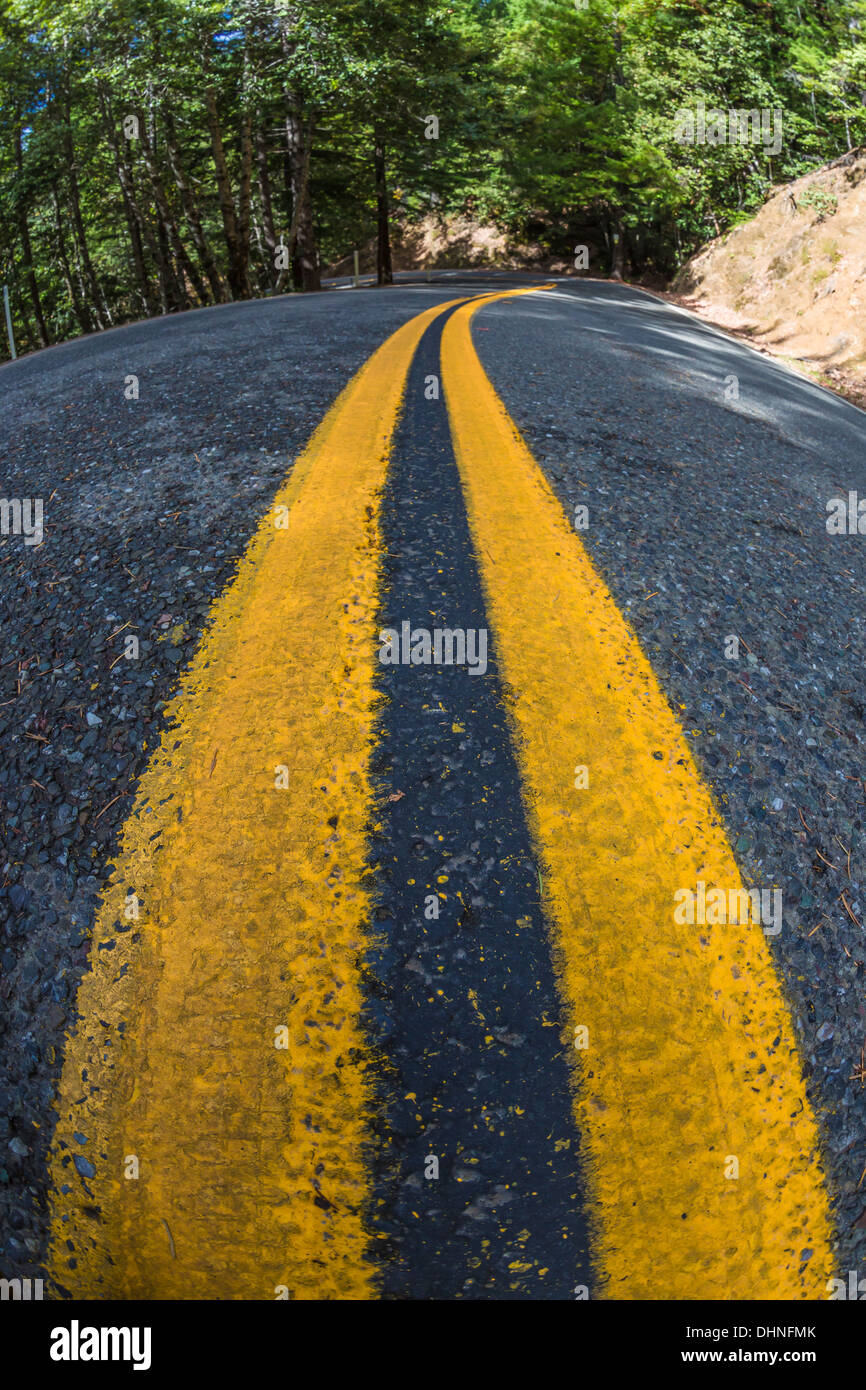 SR 1, aka the Shoreline Highway, winding through the vast Coast Redwood forest near the Pacific Ocean coast, California, USA Stock Photo