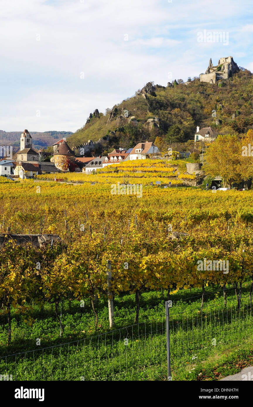 Austrian World Heritage Wachau in autumn, Austria, Lower Austria, Wachau, Dürnstein Stock Photo