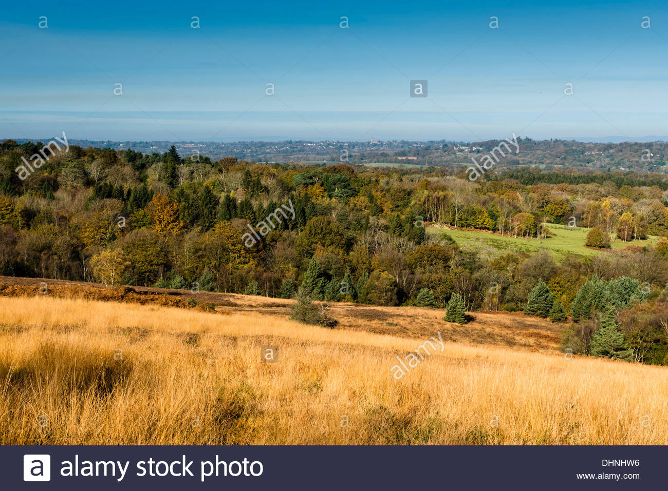High Weald Aonb Stock Photos & High Weald Aonb Stock Images Alamy