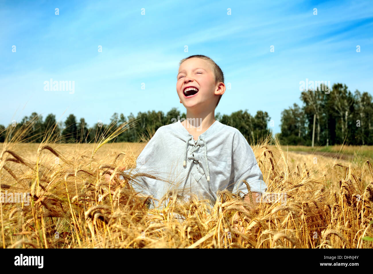 Stand Of Wheat Hi Res Stock Photography And Images Alamy