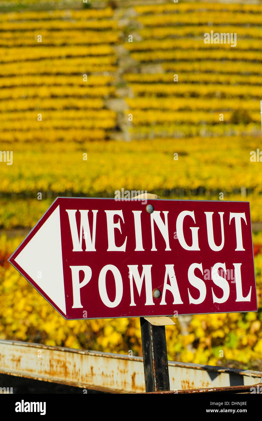 Austrian World Heritage Wachau in autumn, vinery Pomassl, Austria, Lower Austria, Wachau, Weissenkirchen Stock Photo