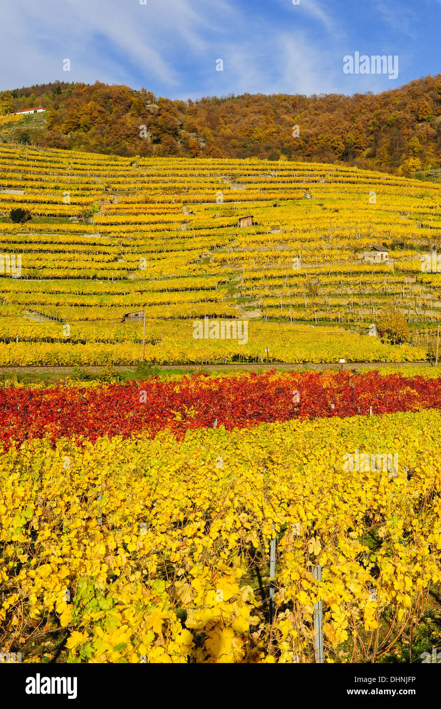 Austrian World Heritage Wachau in autumn, Austria, Lower Austria, Wachau, Weissenkirchen Stock Photo