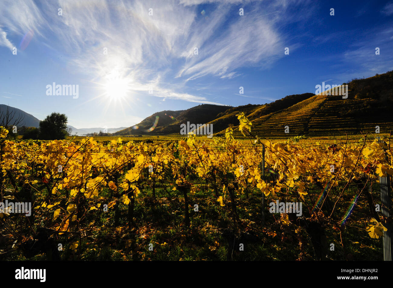 Austrian World Heritage Wachau in autumn, Austria, Lower Austria, Wachau, Weissenkirchen Stock Photo