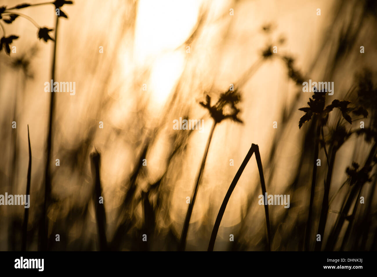 Common water levels hi-res stock photography and images - Alamy