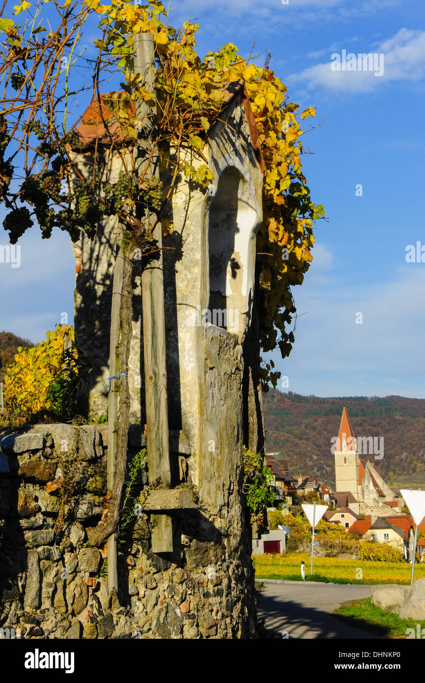 Austrian World Heritage Wachau in autumn, Austria, Lower Austria, Wachau, Weissenkirchen Stock Photo