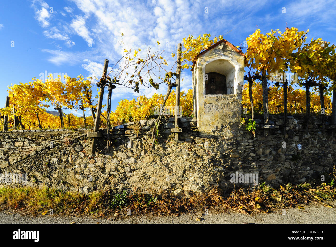 Austrian World Heritage Wachau in autumn, Austria, Lower Austria, Wachau, Weissenkirchen Stock Photo