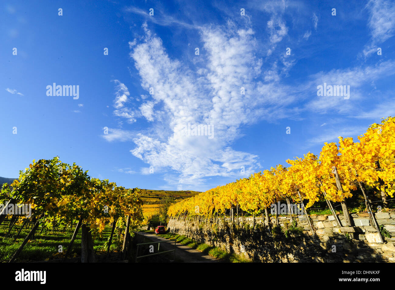 Austrian World Heritage Wachau in autumn, Austria, Lower Austria, Wachau, Weissenkirchen Stock Photo