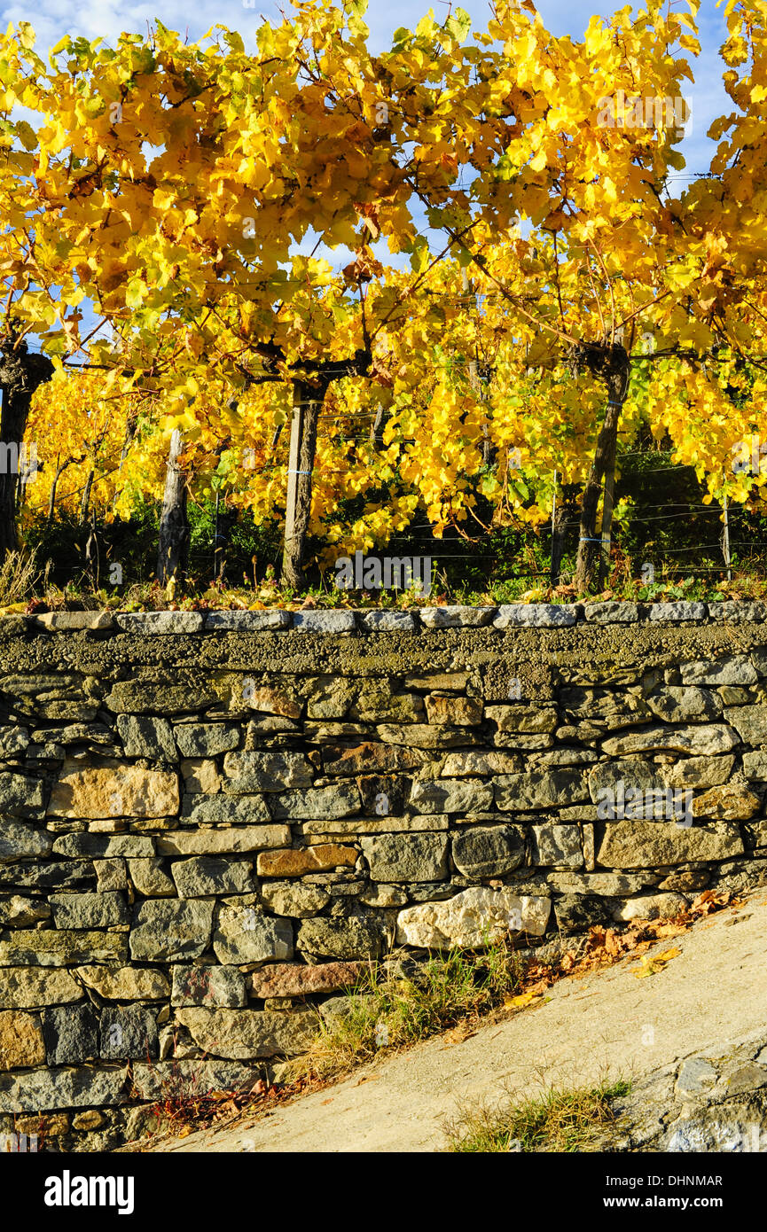 Austrian World Heritage Wachau in autumn, Austria, Lower Austria, Wachau, Weissenkirchen Stock Photo