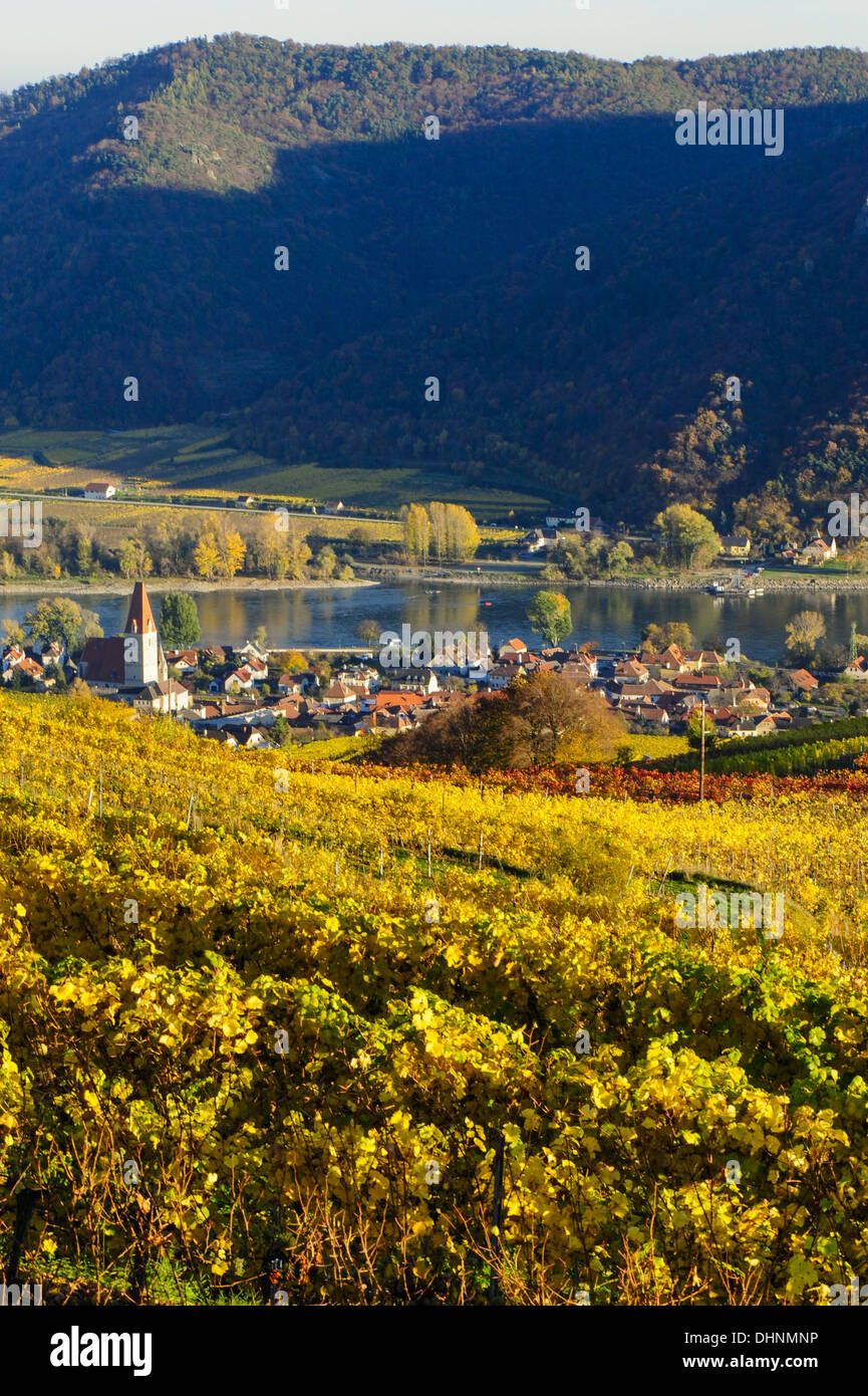 Austrian World Heritage Wachau in autumn, Austria, Lower Austria, Wachau, Weissenkirchen Stock Photo