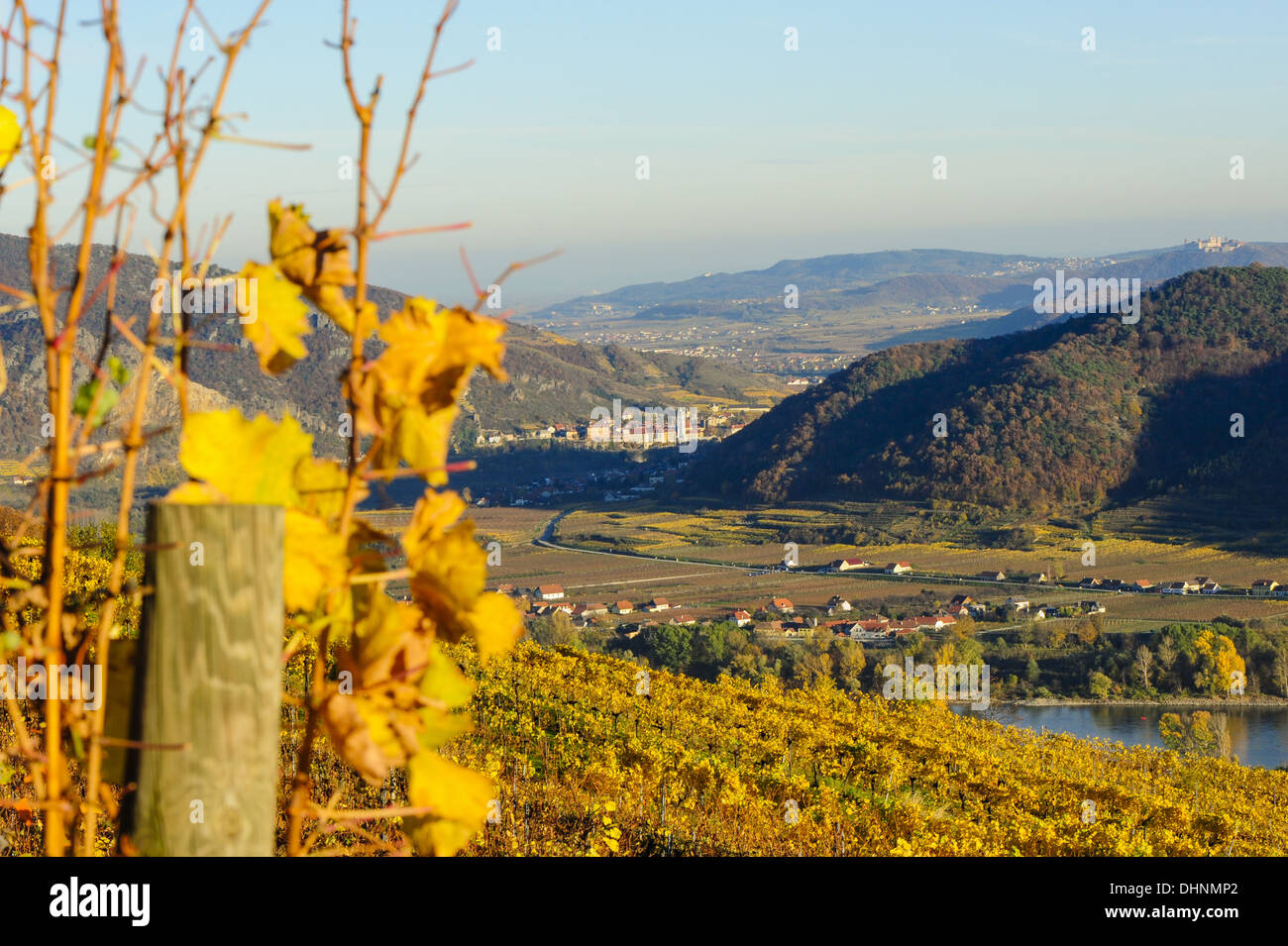 Austrian World Heritage Wachau in autumn, Duernstein, Austria, Lower Austria, Wachau, Weissenkirchen Stock Photo