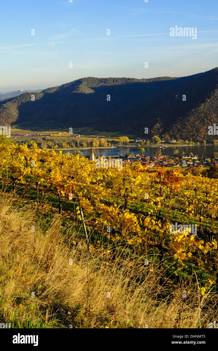 Austrian World Heritage Wachau in autumn, Austria, Lower Austria, Wachau, Weissenkirchen Stock Photo