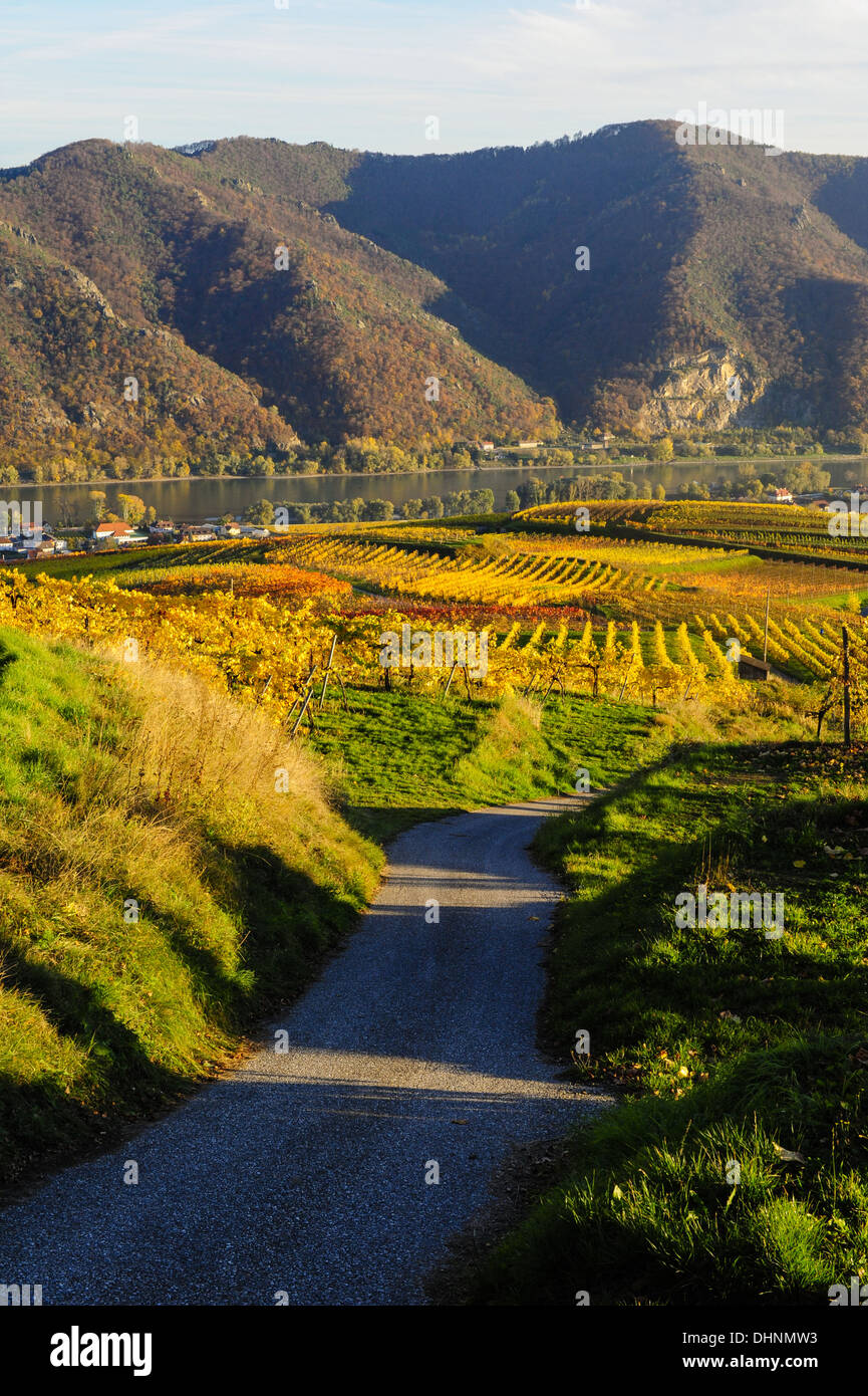 Austrian World Heritage Wachau in autumn, Austria, Lower Austria, Wachau, Weissenkirchen Stock Photo