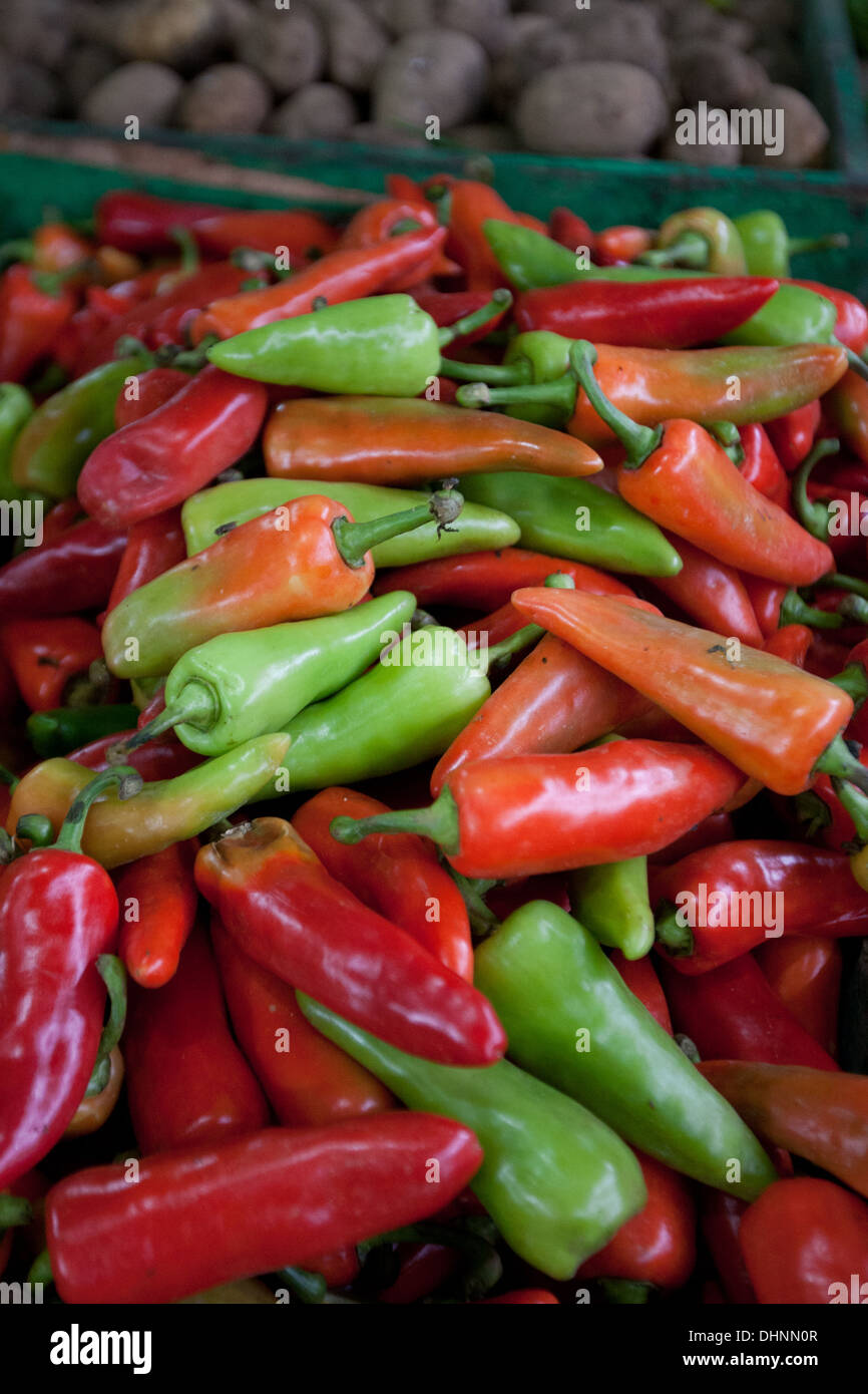 Fresh red and green peppers sold at the market in Tacloban City Stock ...