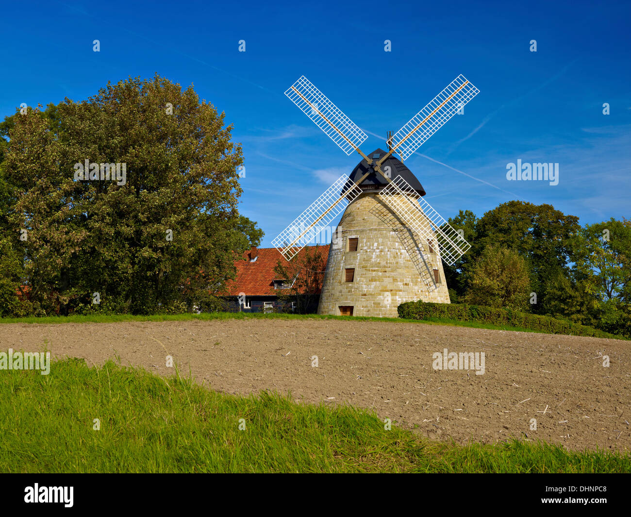 Windmill, Rodenberg, Schaumburg District, Lower Saxony, Germany Stock Photo