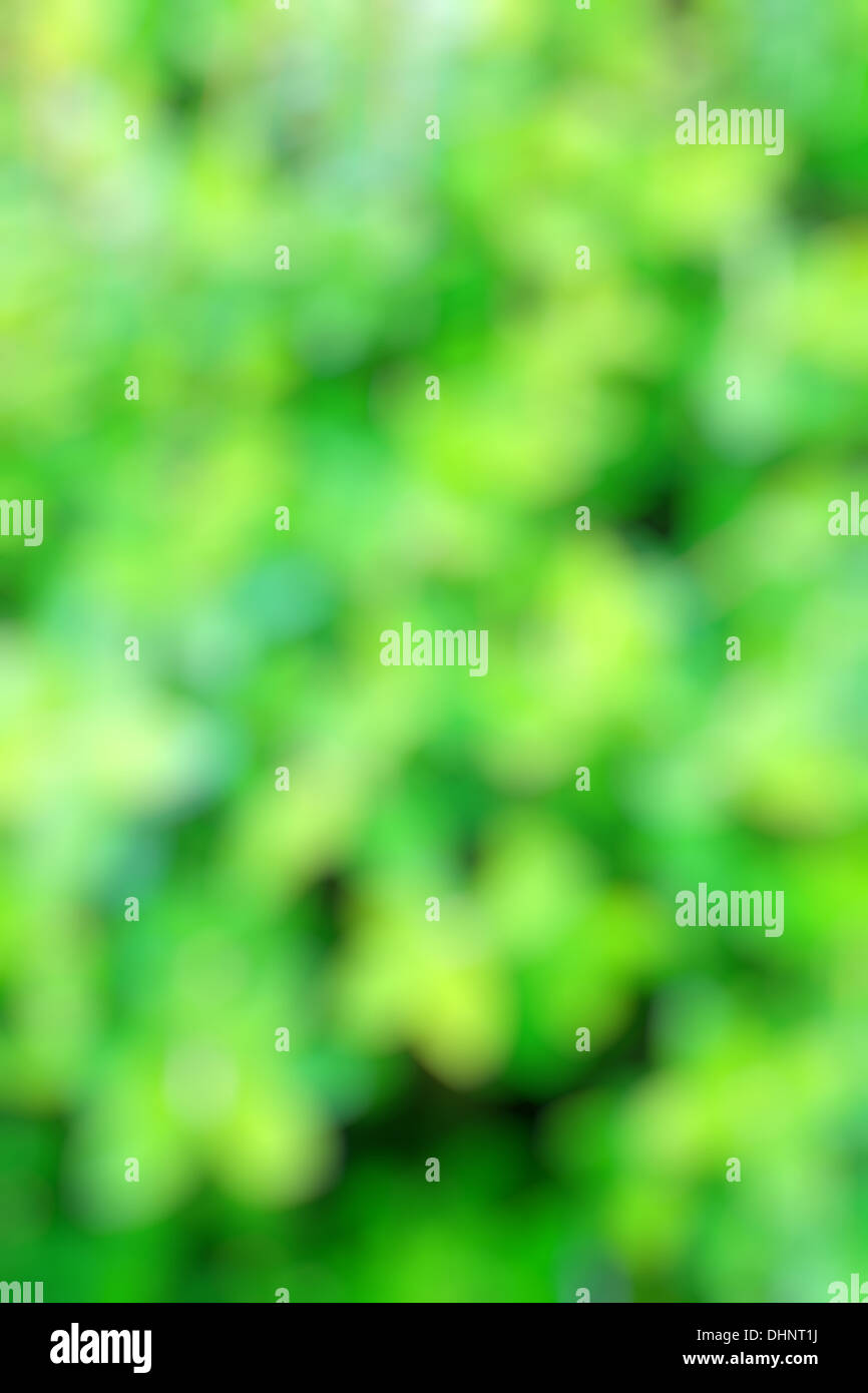 Blurred Greenery Background Stock Photo - Alamy