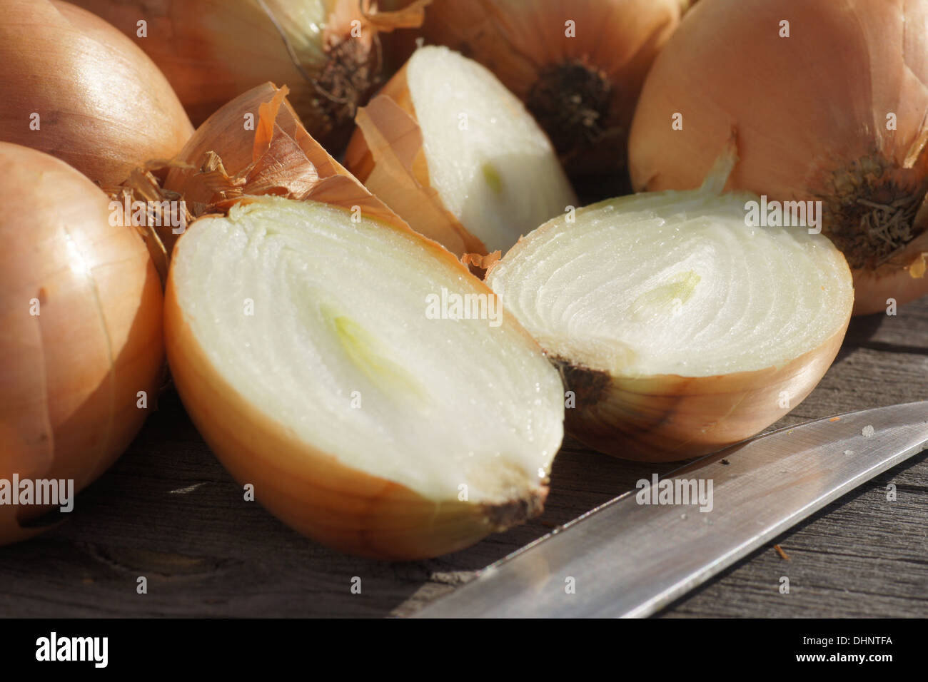 Onion peels garden hi-res stock photography and images - Alamy