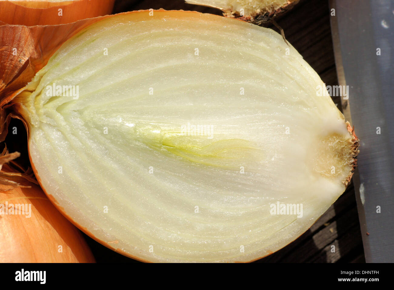 Onion peels garden hi-res stock photography and images - Alamy