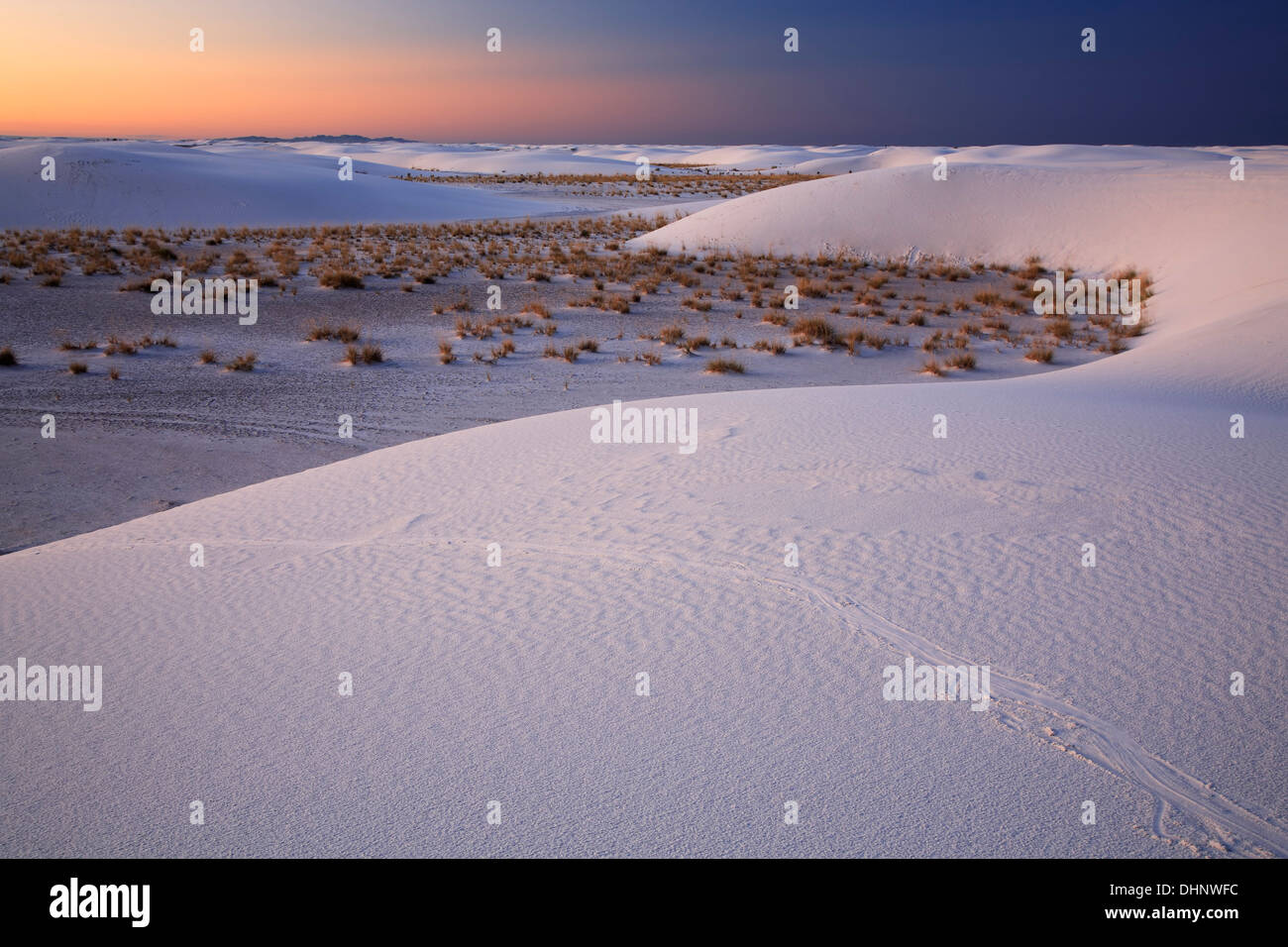 Dunes and shrubs at sunrise, White Sands National Park, Alamogordo, New Mexico USA Stock Photo