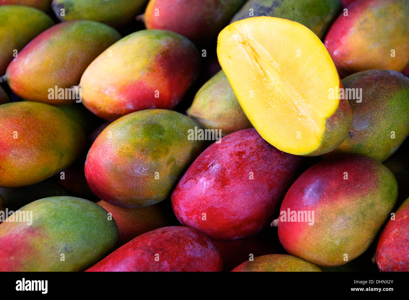 Fresh colorful tropical mangoes on display at outdoor farmers market in