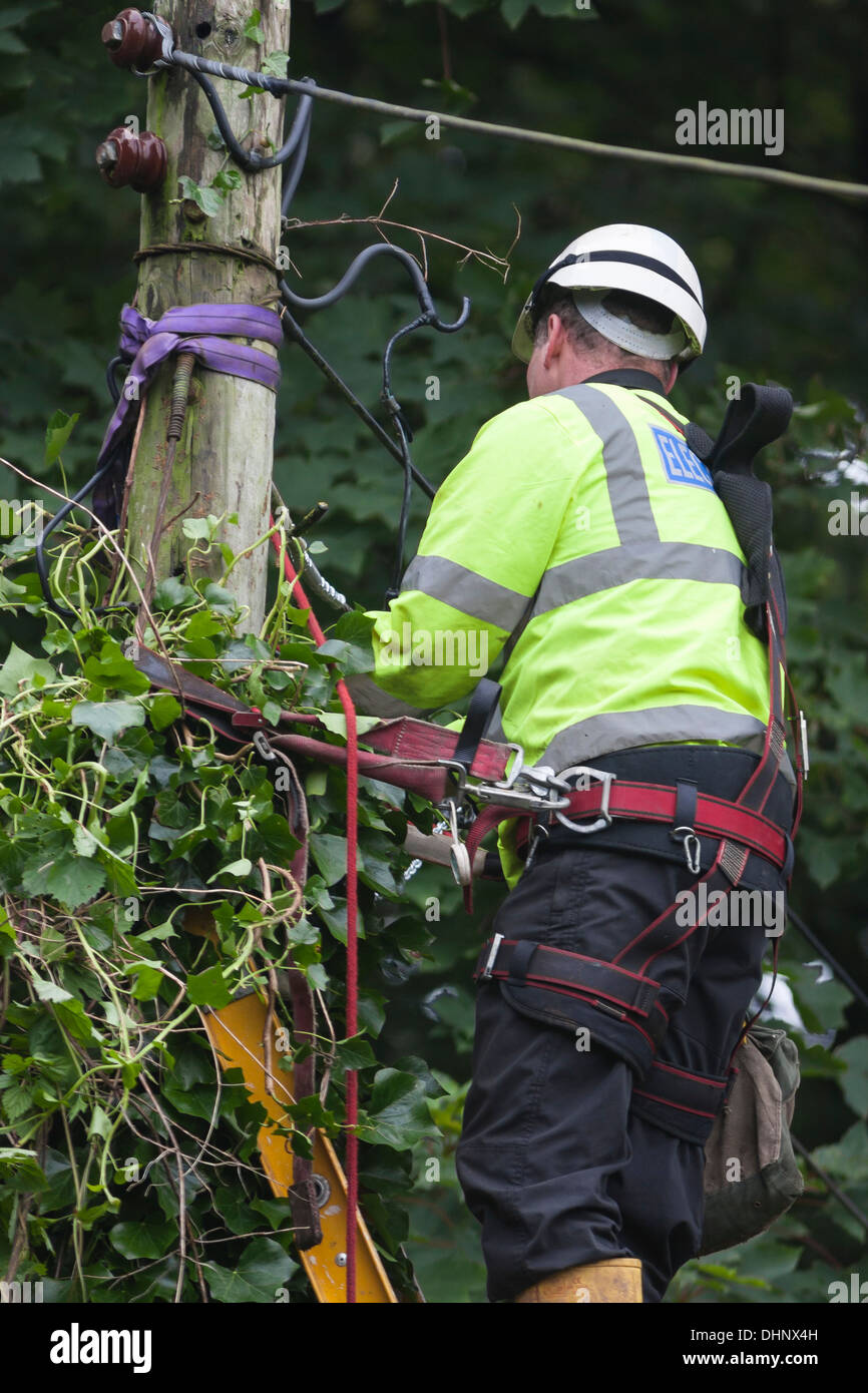 Electrical power engineer repairing cable Stock Photo Alamy
