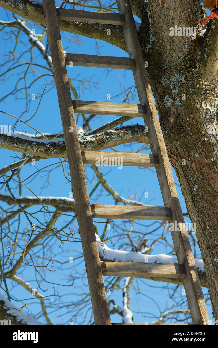 Winterworld Stock Photo