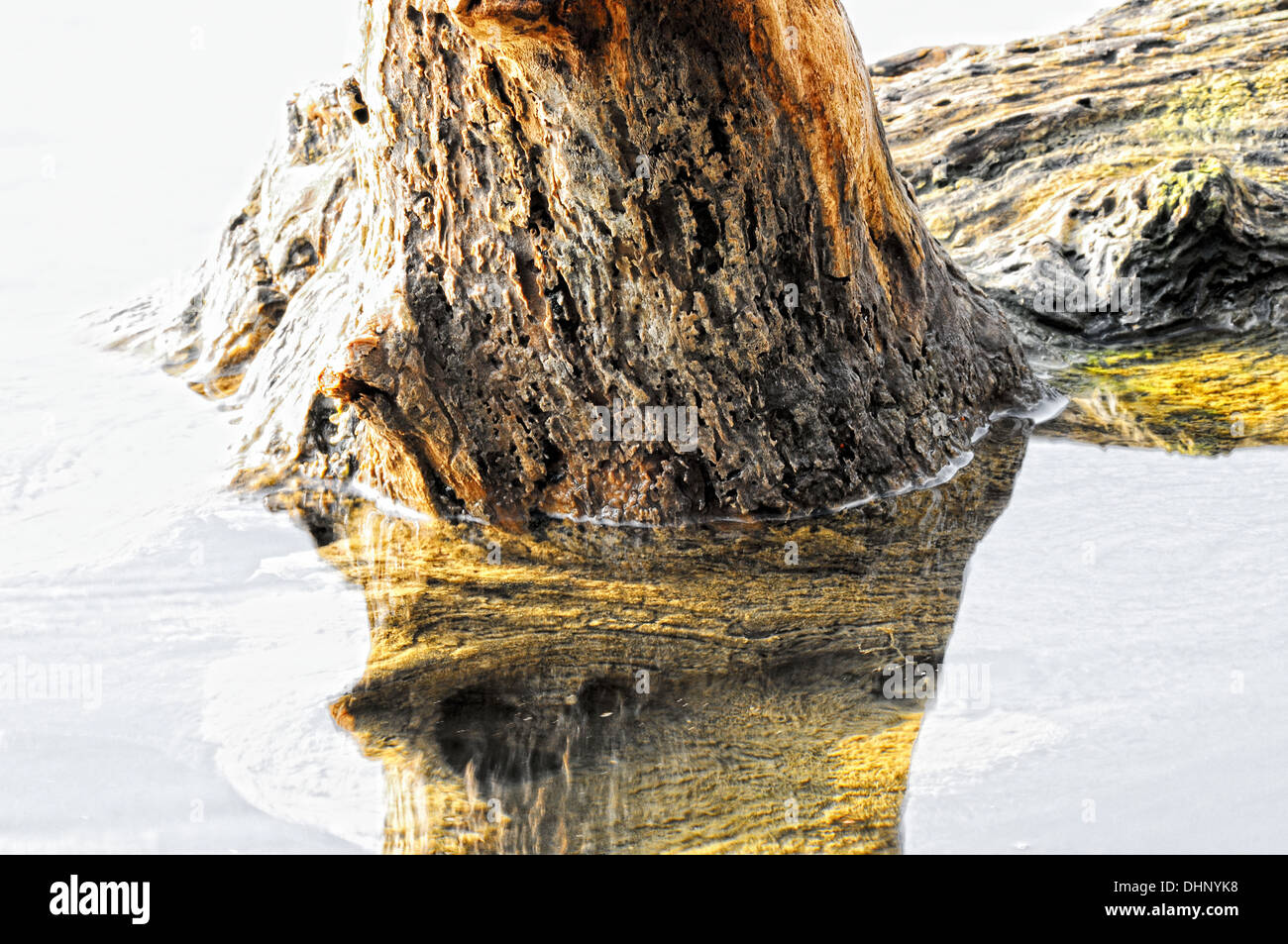 Wood in water Stock Photo Alamy