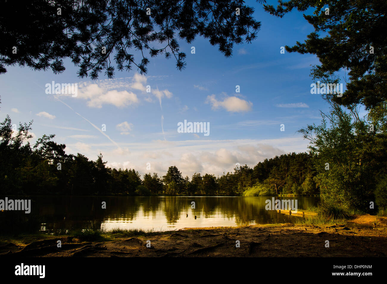 A view of The Moat early on a sunny summer morning at Thursley Common, Surrey. June. Stock Photo