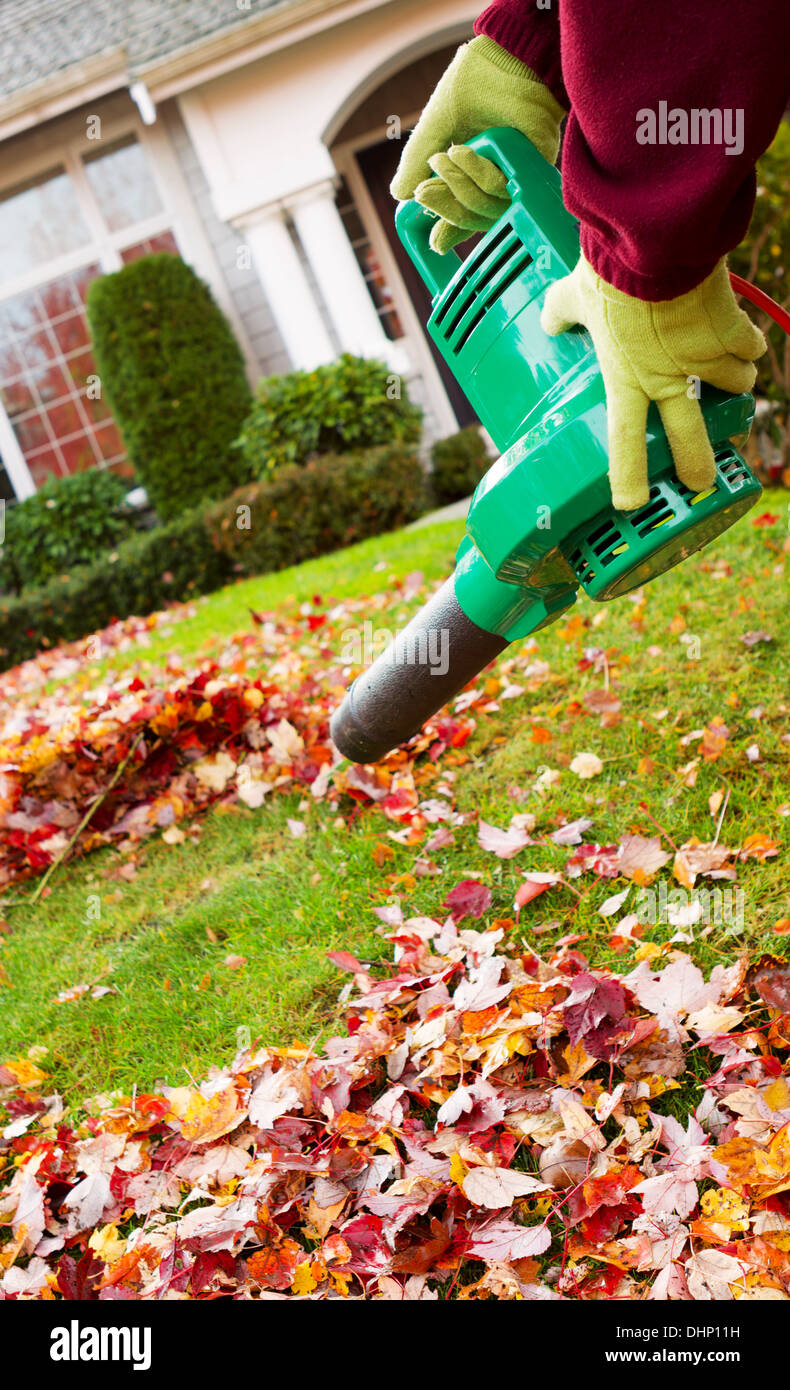 Vertical photo of electrical blower, gloved hands holding, cleaning leaves from front yard with house in background Stock Photo