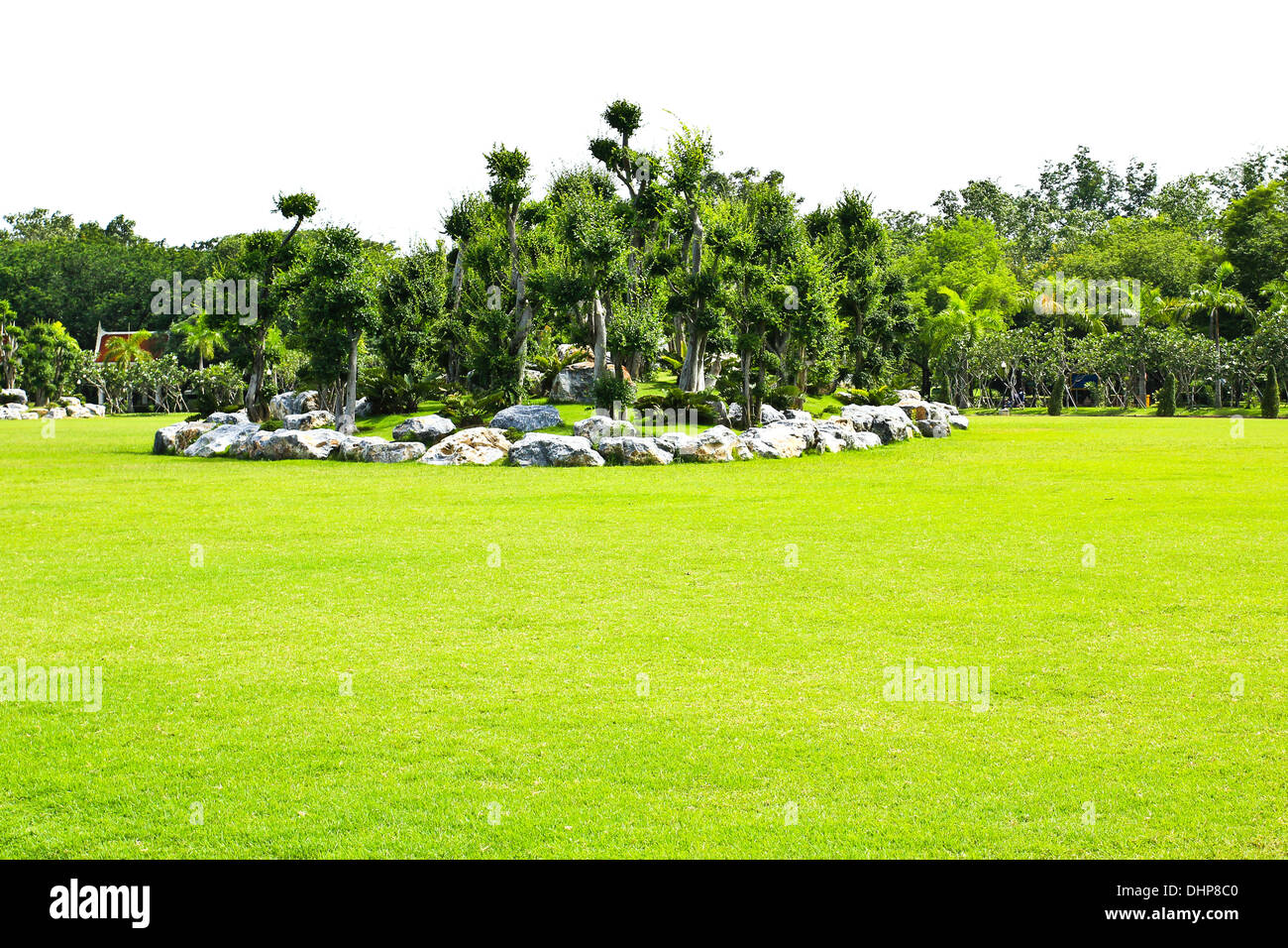Outdoor park green grass garden hi-res stock photography and images - Alamy