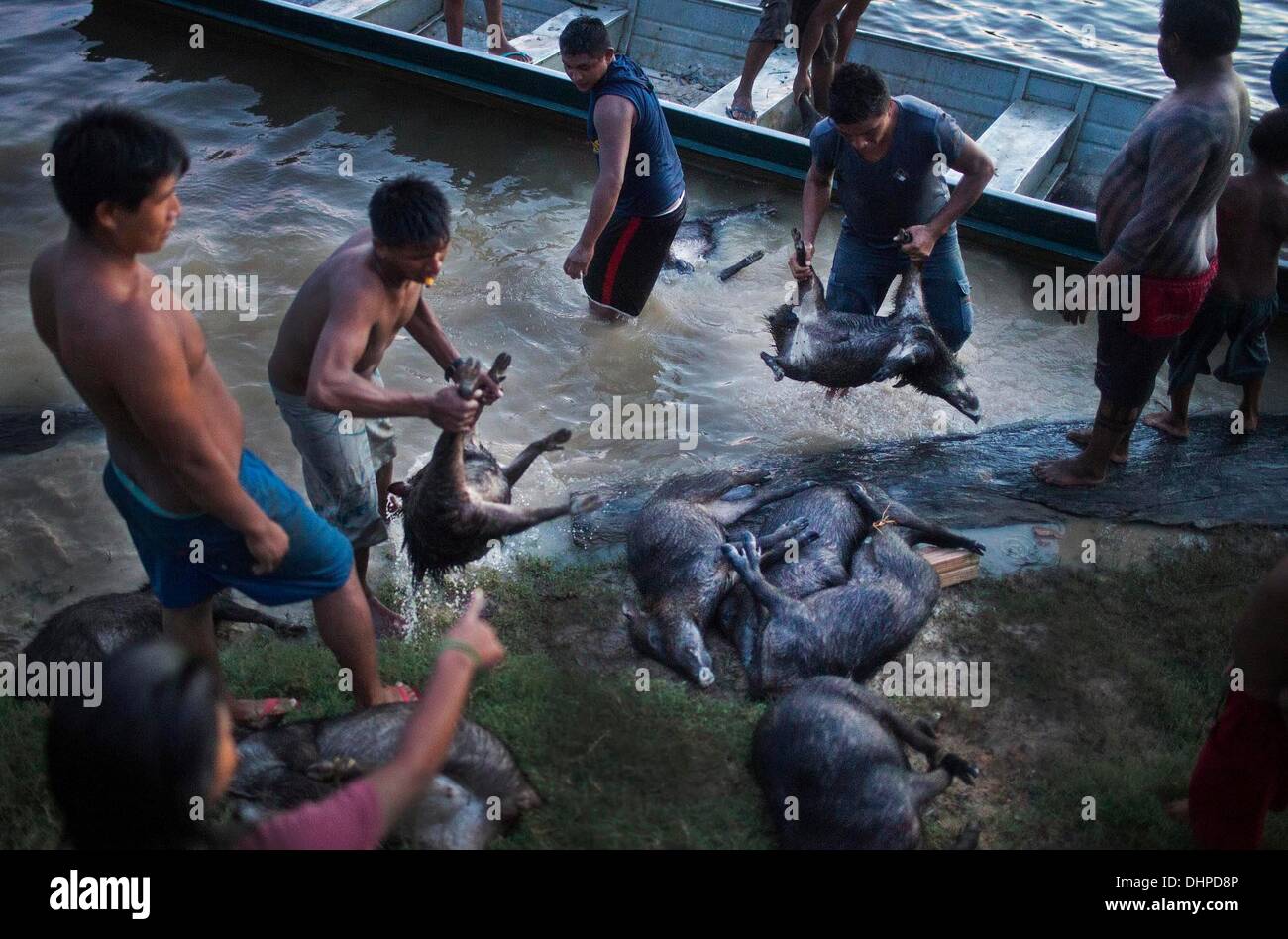 May 5, 2013 - Poti-Kro, Para, Brazil - Xikrin hunters offload a large haul of peccary to be cleaned in the river in the remaining light of day. For the next few days, the villagers will eat mostly peccary so that the meat will not go to waste. The indigenous Xikrin people live on the Bacaja, a tributary of the Xingu River, where construction of the Belo Monte Dam is reaching peak construction. Some scientists warn that the water level of the Bacaja will decrease precipitously due to the dam. (Credit Image: © Taylor Weidman/ZUMA Wire/ZUMAPRESS.com) Stock Photo