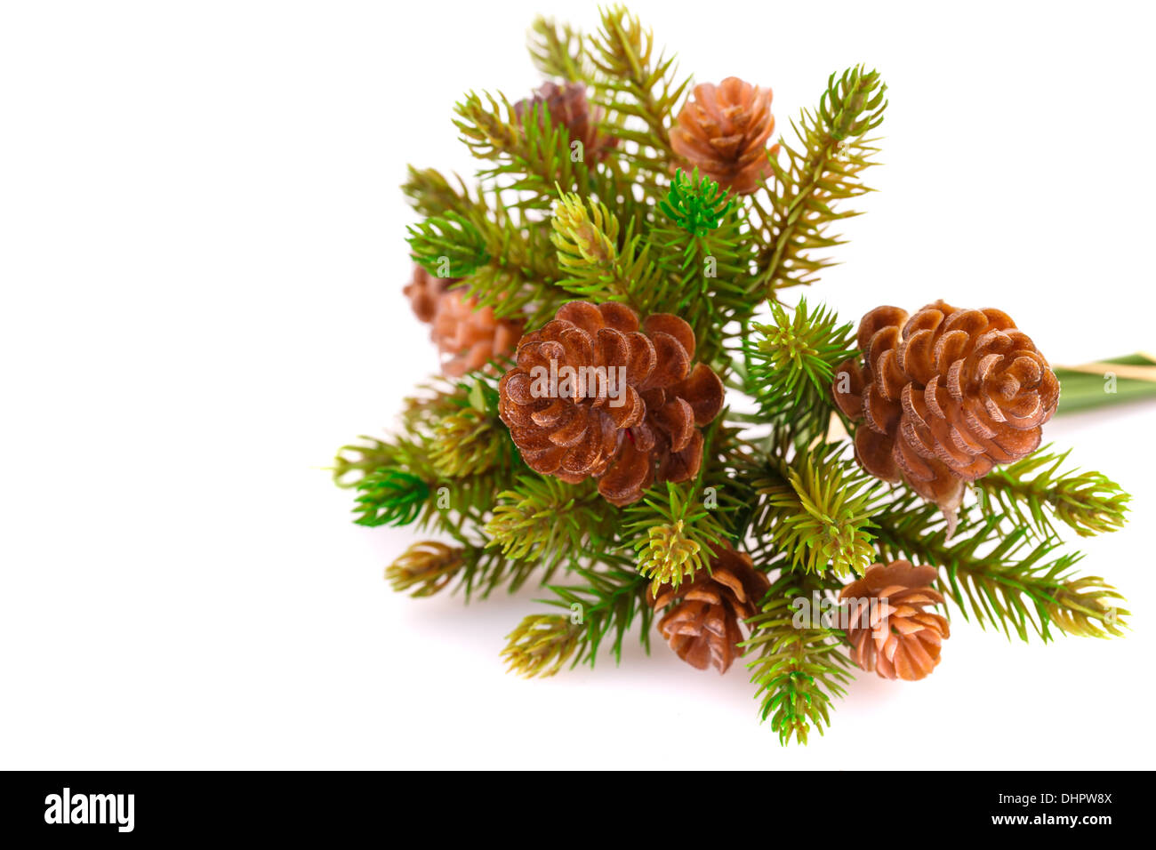 Christmas tree branch with cones isolated on white background Stock ...