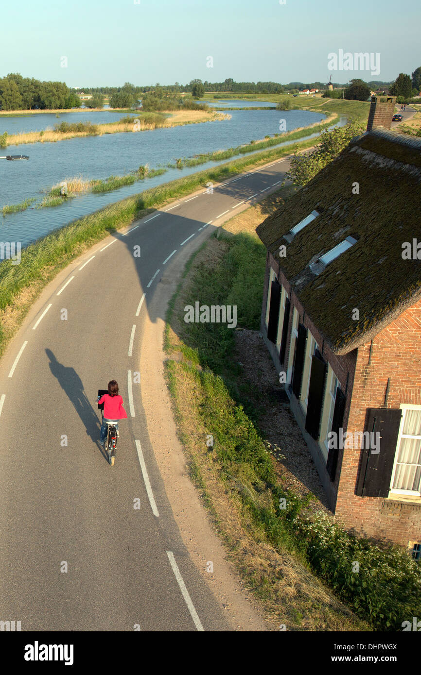 Netherlands, Lienden, Woman cycling on dyke, where the flood plains are flooded Stock Photo