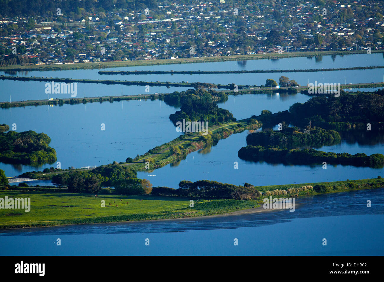Estuary of the Heathcote and Avon Rivers, Christchurch, and the