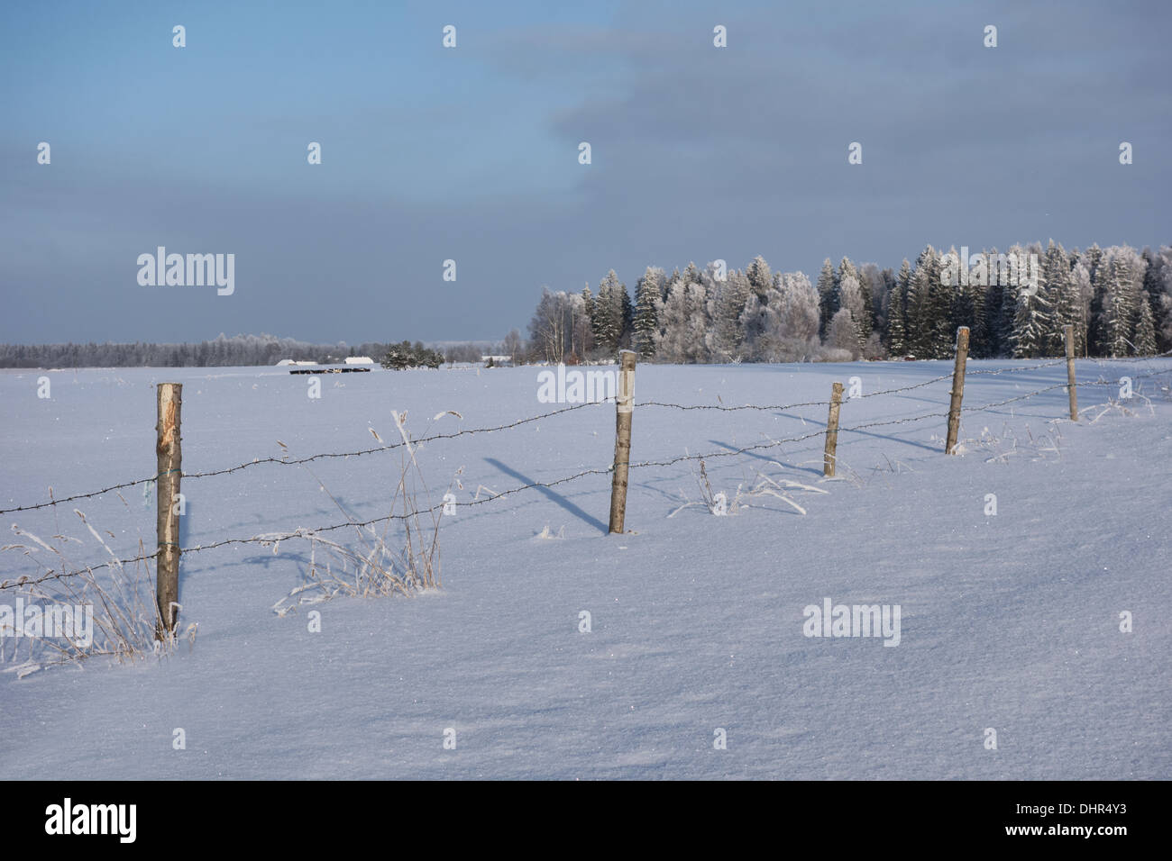 Rural winter landscape. Barbed wire fence post in snowy field Stock ...