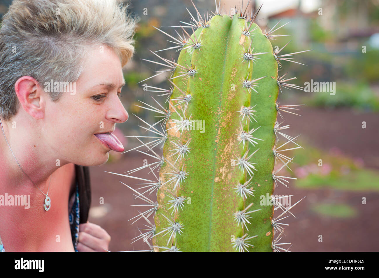 cactus tongue roadie