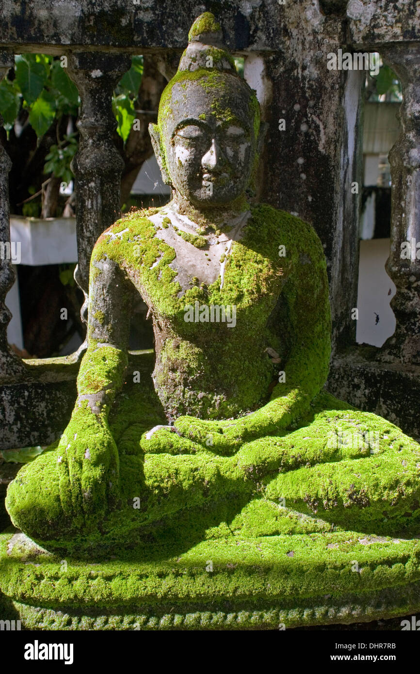 A beautiful Buddha statue covered with moss is on display at a ...