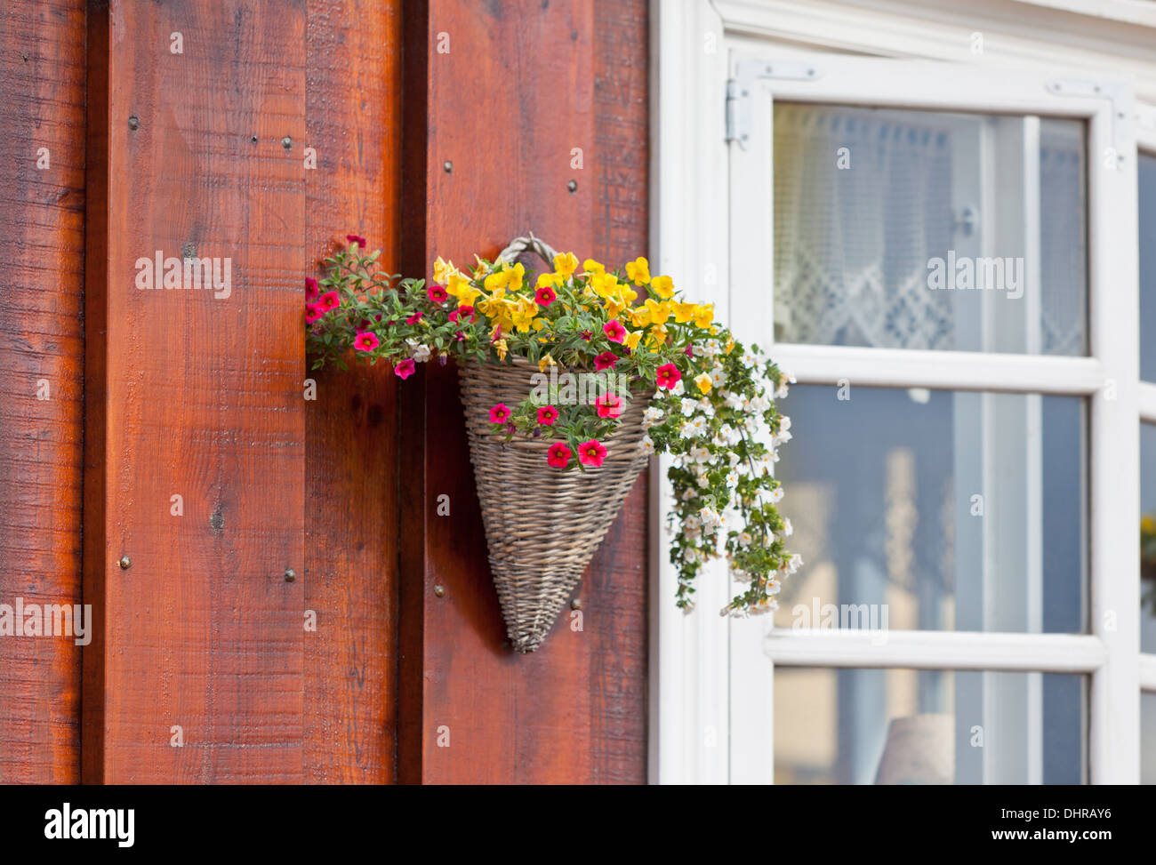 Flowers in wicker pot on a icelandic wooden house wall Stock Photo